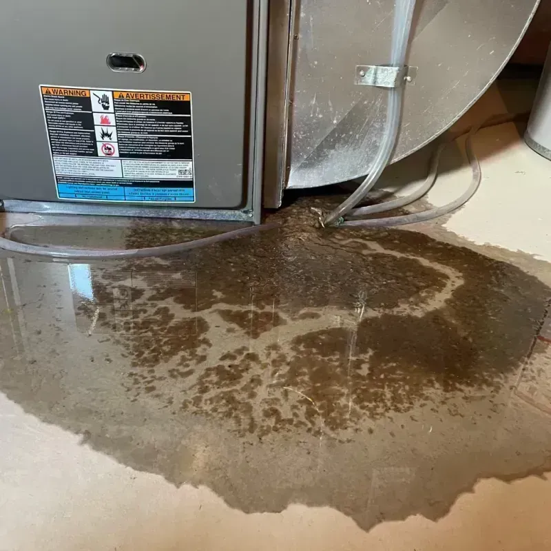 Appliance Leak Cleanup in Havre de Grace, MD